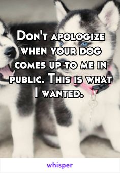 two husky dogs with the caption don't apoloize when your dog comes up to me in public this is what i wanted