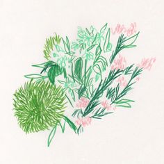 a drawing of some flowers on a white paper with green and pink leaves in the middle