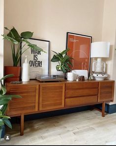 some plants are sitting on top of a dresser