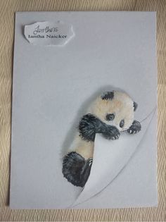 a panda bear sitting on top of a piece of paper