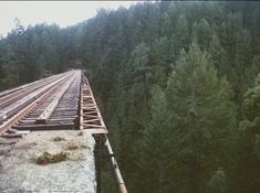 an old train track in the middle of a forest