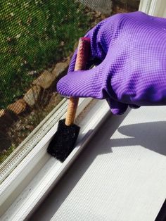 a purple gloved hand on top of a window sill next to a cat