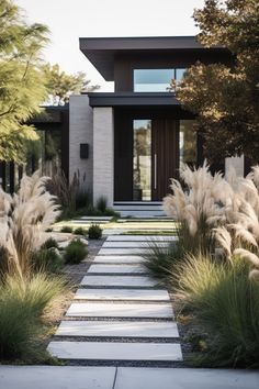 a modern house with tall grass and stone walkway leading to the front door, surrounded by trees