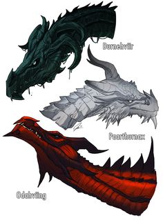 three different types of dragon heads