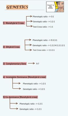 a diagram showing the different types of numbers and symbols