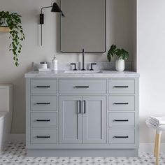 a bathroom vanity with two mirrors above it and a plant in the corner next to it