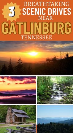 scenic views in Gatlinburg Tennessee in the Smoky Mountains Smokey Mountains Tennessee Fall, Things To Do In Gatlinburg Tennessee, Smokie Mountains, Tennessee Family Vacation, Vacation Restaurants