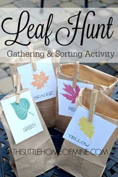 the facebook page for leaf hunt gathering and sorting activity