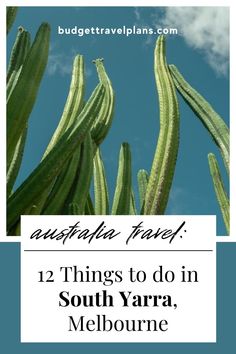 some green plants with the words, australia travel 12 things to do in south yarra melbourne