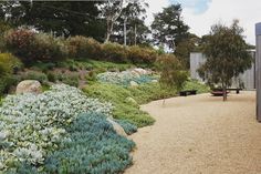 a garden with various plants and trees on the side of it, along with a wooden structure in the background