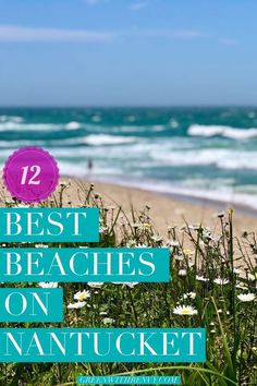 the best beaches on nannfucket are in this postcard with text overlay