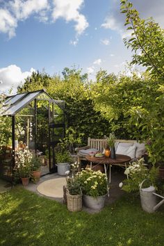 an outdoor garden with potted plants and a bench in the foreground, under a blue cloudy sky