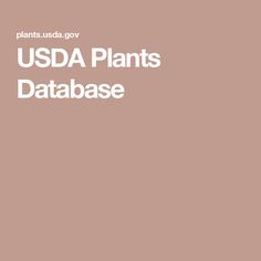 the words usa plants data base on a pink background