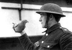 a man in uniform holding a small bird on his right hand while wearing a helmet