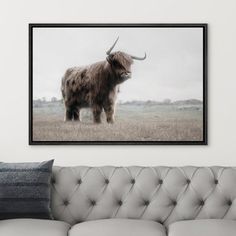 an animal with long horns standing in the grass on a wall next to a couch