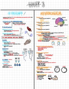 the anatomy of an animal's body and its functions in it, with diagrams on each side