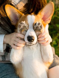 a woman holding a small dog in her arms with both hands on it's face