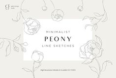 the minimalist peony line sketches are perfect for any type of artwork or design