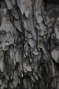 an animal is standing in front of a rock wall that looks like it's made out of rocks