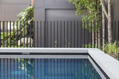 an empty swimming pool in front of a fenced area with trees and bushes on either side