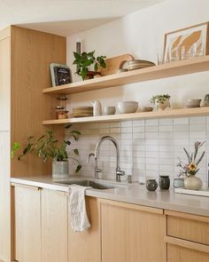 the kitchen is clean and ready for us to use it's counter tops are lined with plants