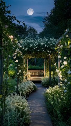 a garden with white flowers and a bench under a full moon lit sky at night