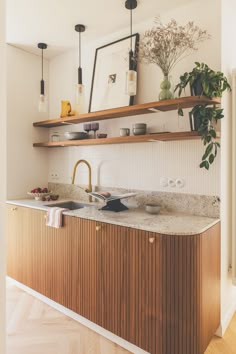 a kitchen with wooden cabinets and marble counter tops, plants on shelves above the sink