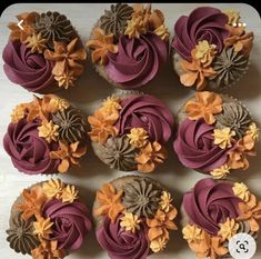 cupcakes decorated with chocolate and orange flowers