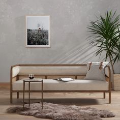 a living room with a couch, coffee table and potted plant