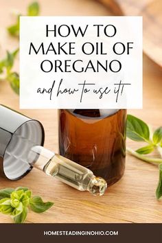 How to make oregano oil at home. Learn how to make your own oregano oil to use as an herbal remedy or cooking. Making oregano oil at home is easy. Learn about oregano oil benefits and how to use oregano oil. This oil of oregano recipe needs to sit for 4 to 6 weeks to infuse. How to make oregano oil with dried oregano and either olive oil or fractioned coconut oil. Use oregano oil benefits for colds and other minor ailments for homeopathic treatments. How to make DIY homemade oregano oil. Oil Of Oregano Benefits, Make Oregano Oil, Oregano Benefits, Herbal Oil Recipes, Oil Of Oregano, Oregano Oil Benefits, Herbal Medicine Recipes, Herbal Remedies Recipes, Oregano Essential Oil