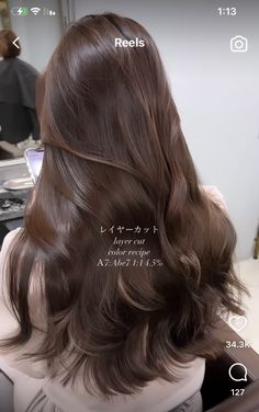 Korean Brunette Hair, Hair Color 2023 Dark Brown, Brunette Hair Korean, Dark Milk Tea Hair Color Asian, Korean Hair Color Dark, Korean Hair Brown, Mushroom Brown Hair Color Dark Roots, Milk Tea Brown Hair Asian, Korean Hair Colours