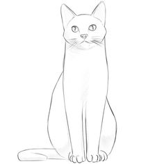 a black and white drawing of a cat