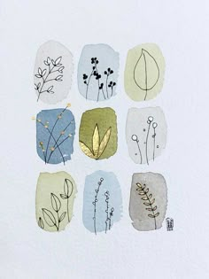 an image of pressed flowers on white paper