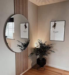 there is a potted plant in the corner of this room with two mirrors on the wall