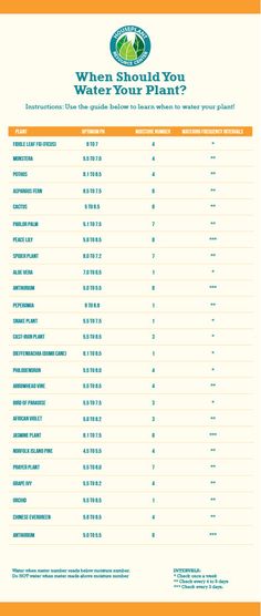 the water table for what should you water your plant?, with information on it