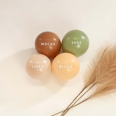 three balloons with the words mocha, limen, blush and sage on them