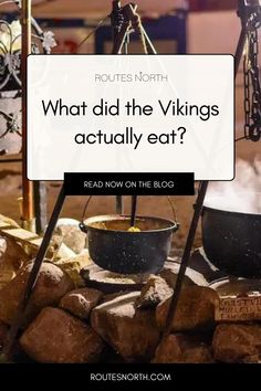 what did the vikings actually eat? read now on the blog