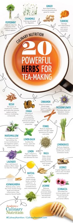 the top 20 powerful herbs for tea making