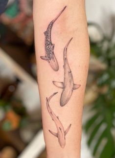 a tattoo on the leg of a woman with two dolphins