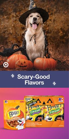 a dog wearing a witch hat and sitting next to two bags of candy - good flavors