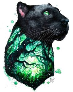 a black cat with green eyes is on the instagramture page, and it appears to have been altered