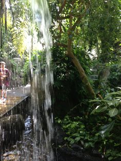 a man standing under a waterfall in the forest