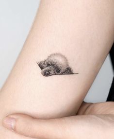 a small animal tattoo on the left side of the arm, with an adorable poodle sticking out of it's ear