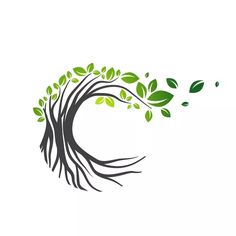 a tree with green leaves blowing in the wind on a white background, logo design