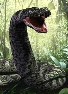 a large snake with its mouth open in the jungle