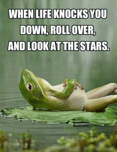 an image of a frog laying on top of water with the caption, when life knocks you down, roll over, and look at the stars