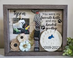 a wooden frame with pictures and dog related items in it on a table next to a potted plant