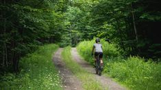 a person riding a bike down a dirt road in the woods on a sunny day