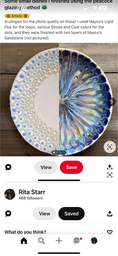 an image of a plate with blue and white designs on it, which is being viewed on instagram