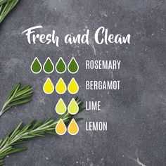 Clean Diffuser Blends, Rosemary Diffuser Blends, Clean Diffuser, Spa Scents, Diffuser Scents, Eo Blends, Best Essential Oil Diffuser, Simmering Potpourri, Diy Essential Oil Recipes